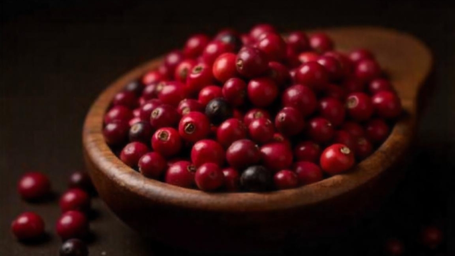 Guarana sebagai sumber energi alami dan fokus